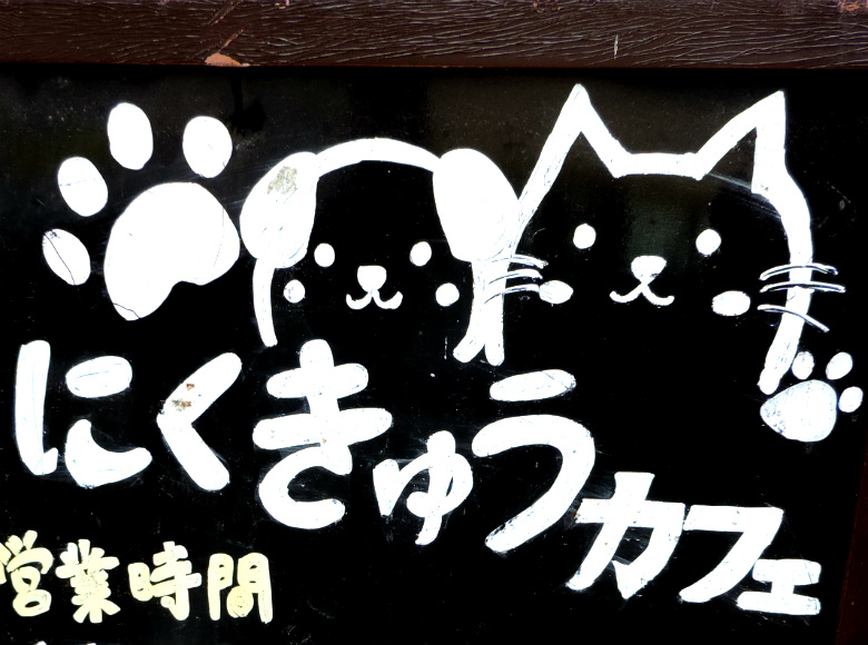 東京 西東京市 ワンちゃんと一緒に食事が楽しめる にくきゅうカフェ お散歩コースに新たな穴場 開店ポータル 店舗や企業のオンライン化を応援するサイト