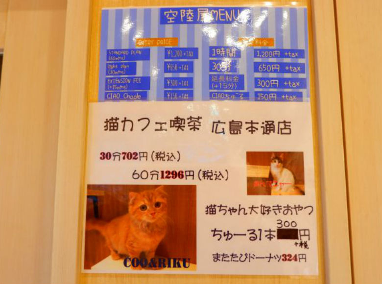 広島 紙屋町 プロジェクションマッピング導入の猫カフェ 猫喫茶 空陸家 広島本通店 はゆったり癒しの空間 開店ポータル 店舗や企業のオンライン化を応援するサイト