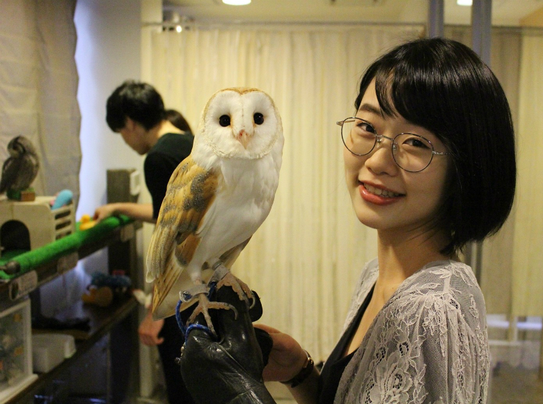 東京 吉祥寺 ふくろうとの暮らしを体感 武蔵野カフェ バーふくろうの里吉祥寺店 開店ポータル 店舗や企業のオンライン化を応援するサイト