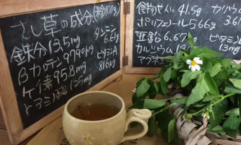 沖縄 南城 Joy工房 茶屋 身近な自然にある宝物とは 全国初の さし草 専門店 開店ポータル 店舗や企業のオンライン化を応援するサイト