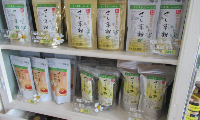 沖縄 南城 Joy工房 茶屋 身近な自然にある宝物とは 全国初の さし草 専門店 開店ポータル 店舗や企業のオンライン化を応援するサイト